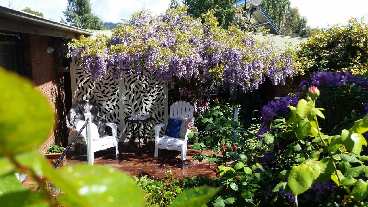 Birch Lane Bed & Breakfast Cradoc Bagian luar foto