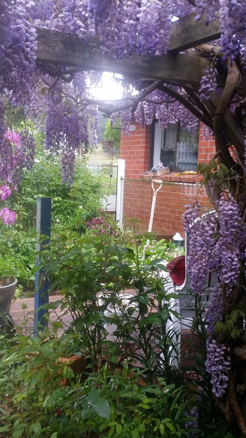 Birch Lane Bed & Breakfast Cradoc Bagian luar foto